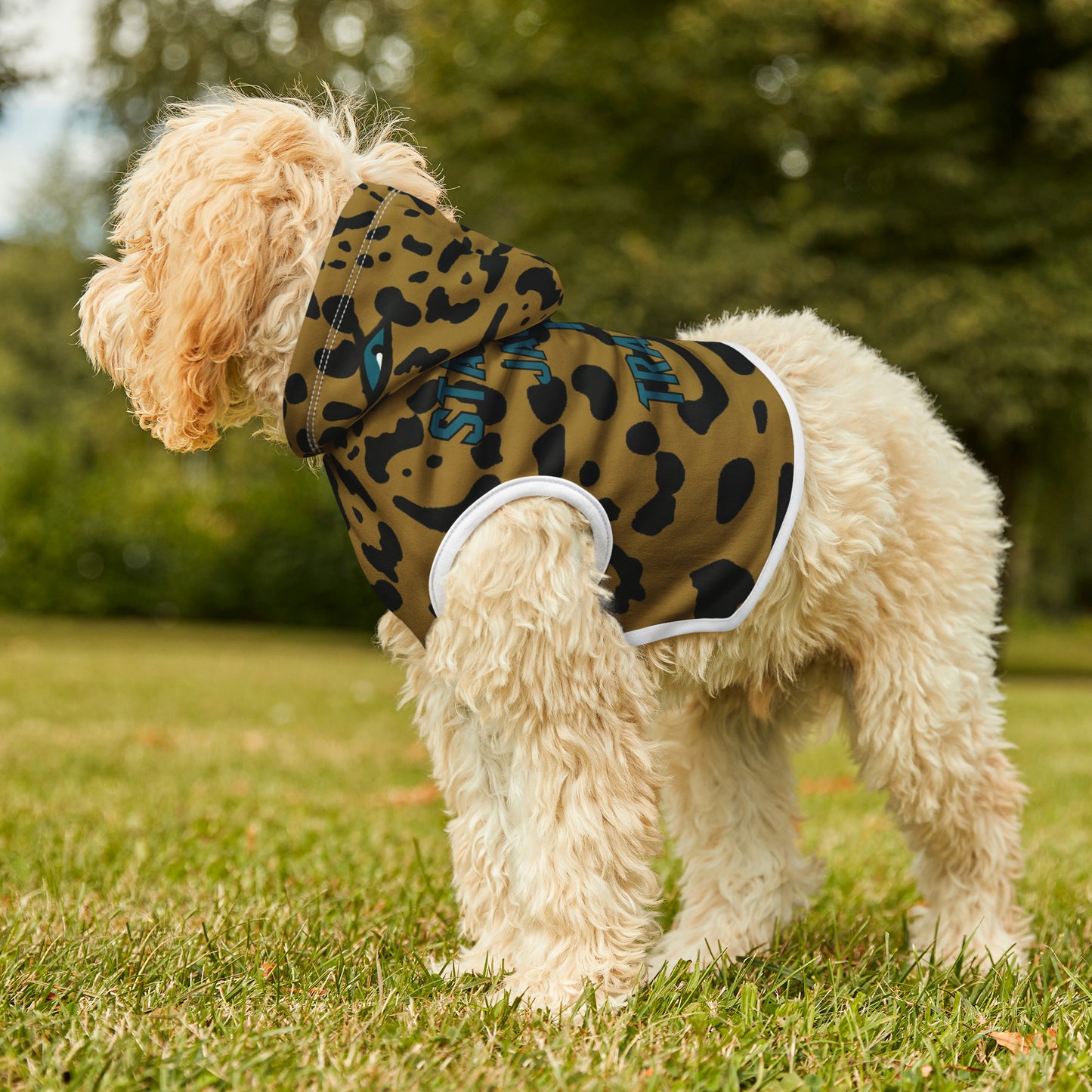 Actin’ RUFF Pet Hoodie